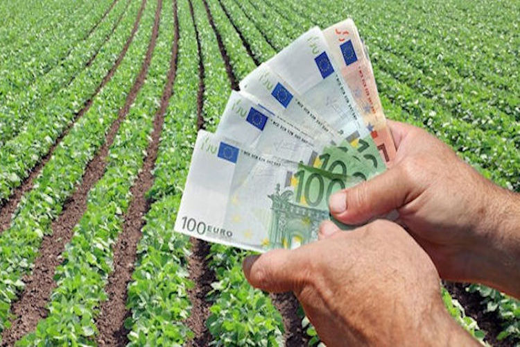 euros-campo-manos-750-25