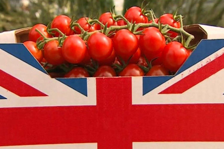 tomate-caja-reino-unido-750-25
