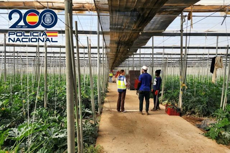 policia-nacional-detenidos-contratacion-trabajadores-extranjeros-750-25