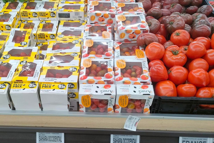 tomate-marruecos-granel-cajitas-sahara-750-25